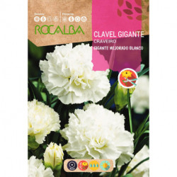 CLAVEL GIGANTE MEJORADO BLANCO