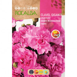 CRAVEIRO GIGANTE MELHORADO ROSA FORTE