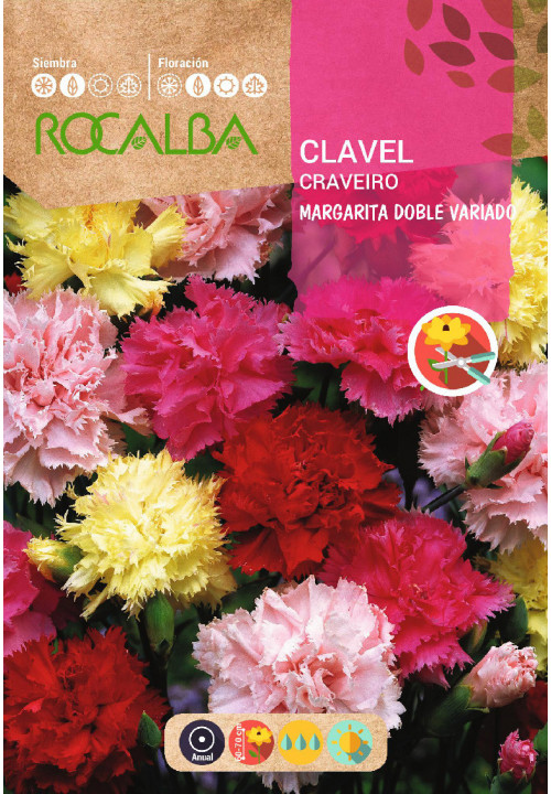 CLAVEL MARGARITA DOBLE VARIADO