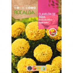 CLAVELÓN ROSA DE INDIA ENANO DOBLE AMARILLO