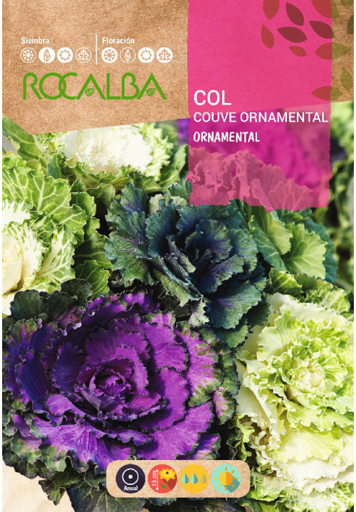 COL ORNAMENTAL VARIADA