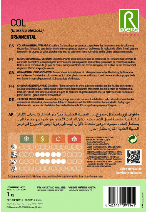 ORNAMENTAL CABBAGE MIXED