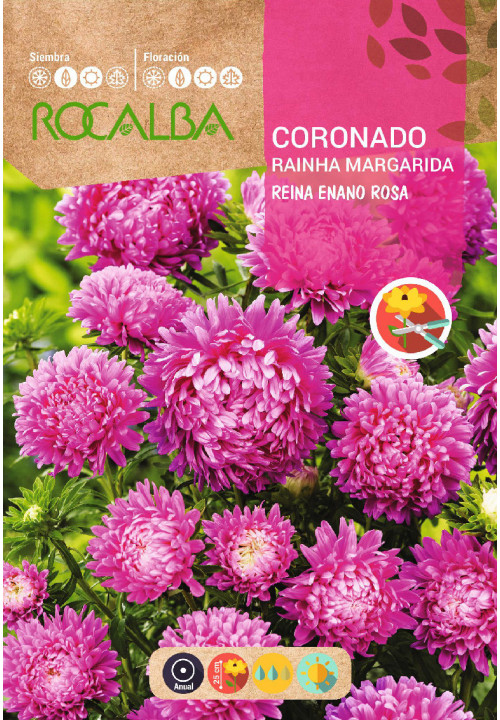 CORONADO REINA ENANO ROSA