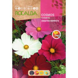 COSMOS SENSATION MAMMOUTH GIGANTE VARIADO