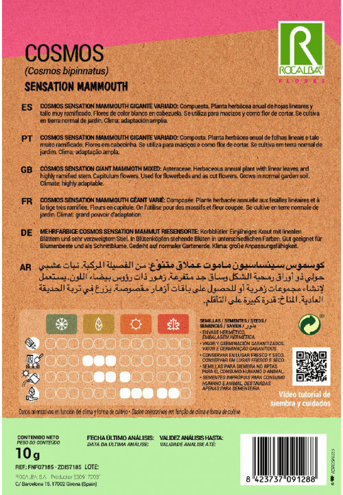 COSMOS SENSATION GIANT MAMMOTH MIXED