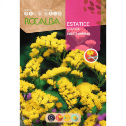 STATICE SINUATA YELLOW