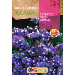 ESTATICE SINUATA AZUL