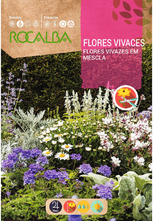 FLORES VIVACES EN MEZCLA