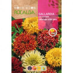 GAILLARDE EXTRA DOUBLE LORENZIANA VARIÉ