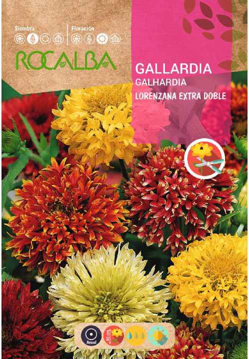 GALLARDIA LORENZIANA EXTRA DOUBLE MIXED