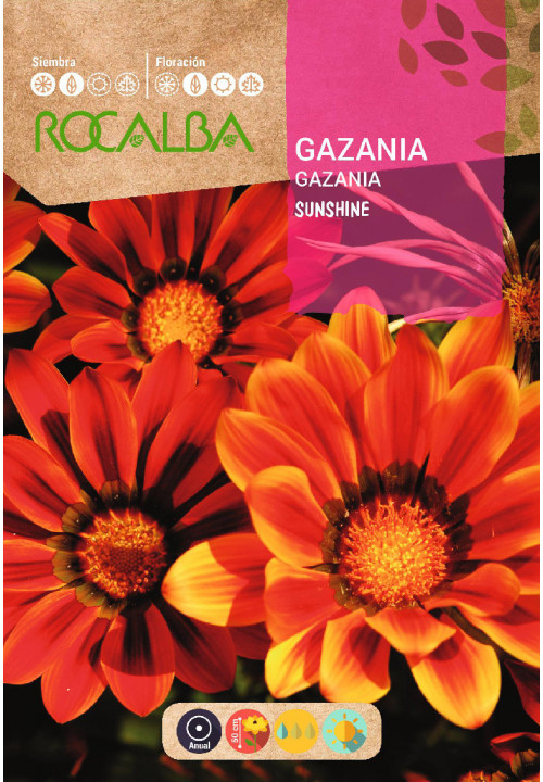 GAZANIA SUNSHINE MEZCLA FLORISTAS