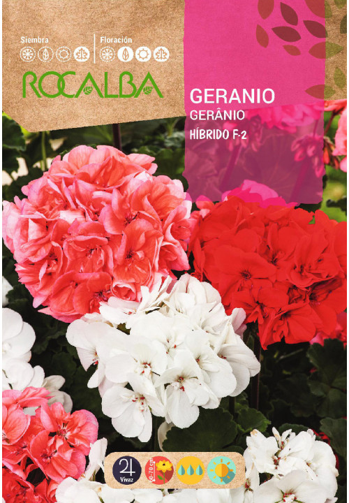 GERANIUM HYBRID F-2 MIXED