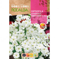 GYPSOPHILA GIANT ELEGANT WHITE