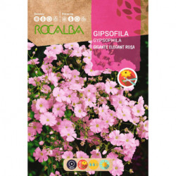 GIPSOFILA GIGANTE ELEGANT ROSA