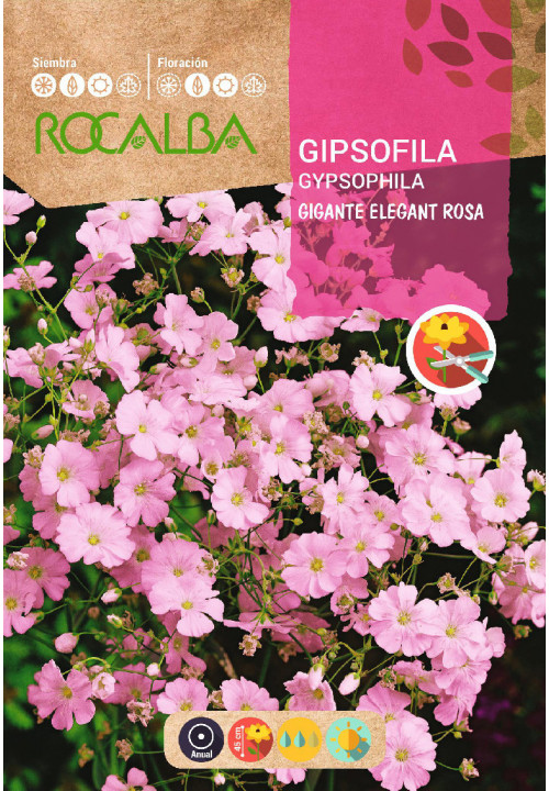 GIPSOFILA GIGANTE ELEGANT ROSA