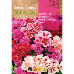 GODETIA FLOR DE AZALEA ENANA DOBLE