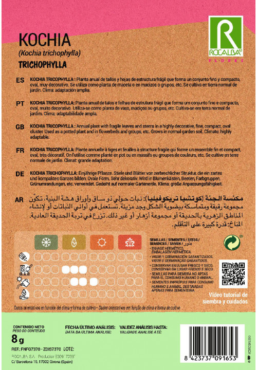 KOCHIA TRICOPHYLLA