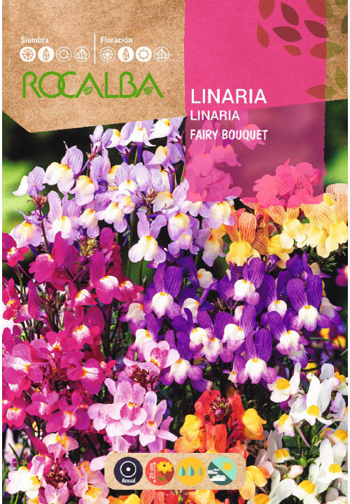 LINARIA FAIRY BOUQUET VARIADA