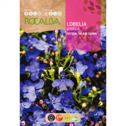 LOBELIA CRYSTAL PALACE ENANA AZUL