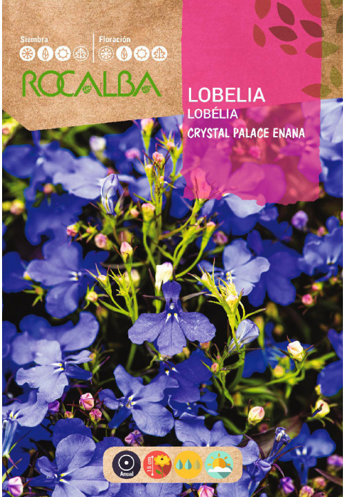 LOBELIA CRYSTAL PALACE ENANA AZUL