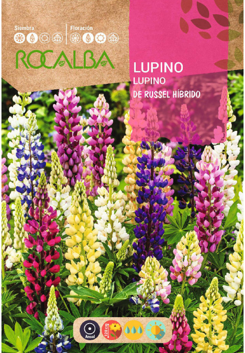 LUPINE HYBRID RUSSEL