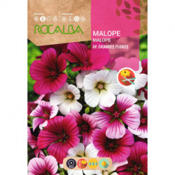 MALOPE DE GRANDES FLORES VARIADA