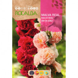 MALVA REAL CHATER DOBLE VARIADA