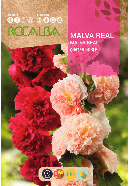 MALVA REAL CHATER DOBLE VARIADA