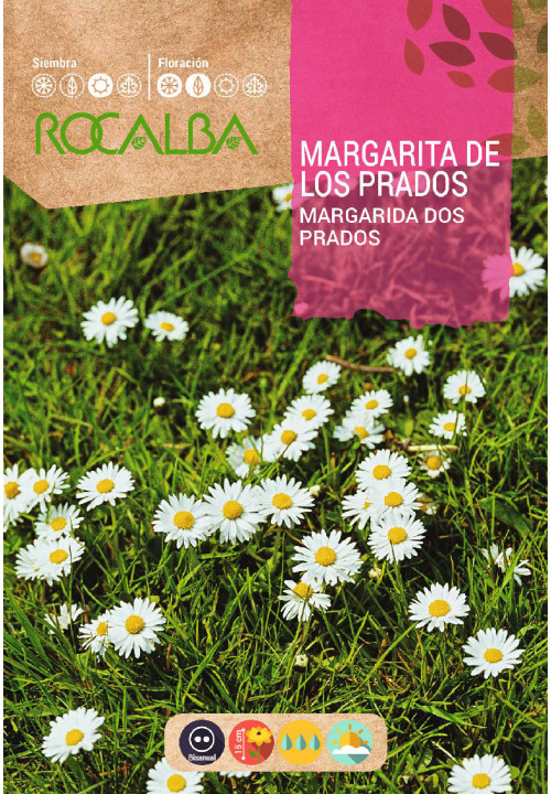 MARGARITA DE LOS PRADOS