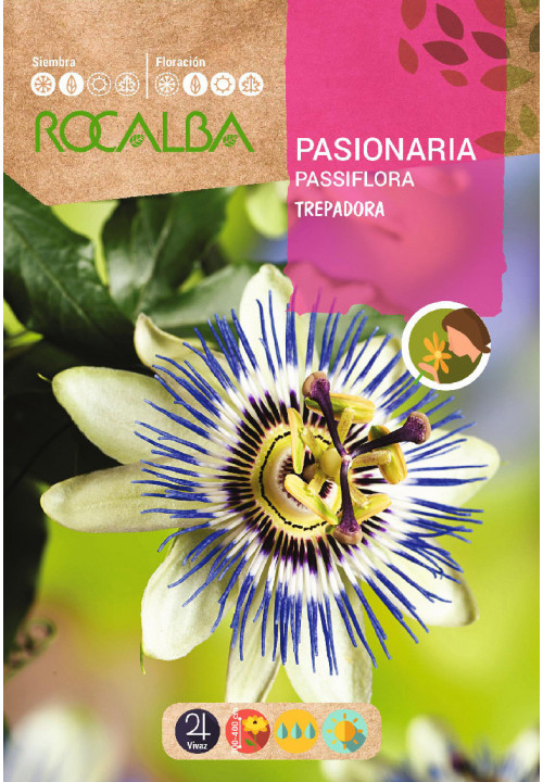 PASSIFLORA