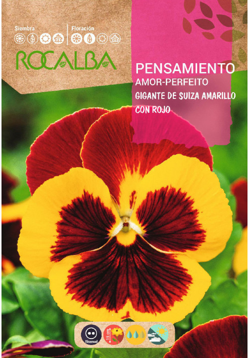 GIANT SWISS PANSY YELLOW WITH RED COMB