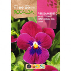 GIANT SWISS PANSY CARMIN PINK