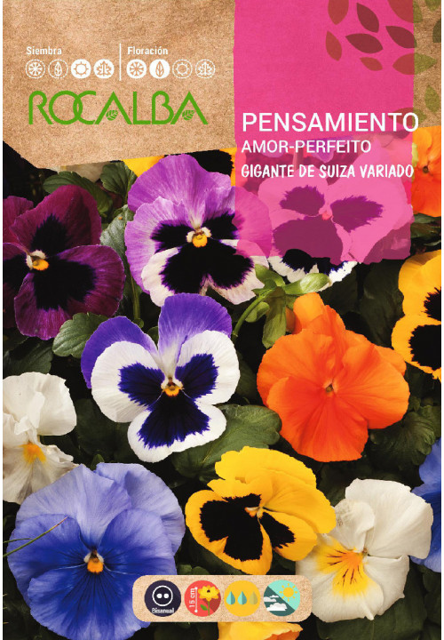GIANT SWISS PANSY MIXED