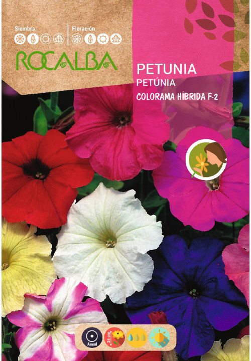 PETUNIA COLORAMA HYBRID F-2 MIXED