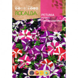 PETUNIA ESTRELLADA ENANA VARIADA