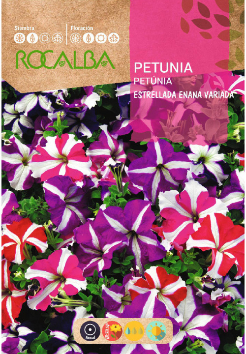 PETUNIA ESTRELLADA ENANA VARIADA