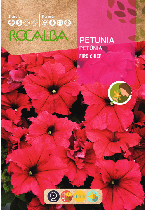 PETUNIA FIRE CHIEF RED