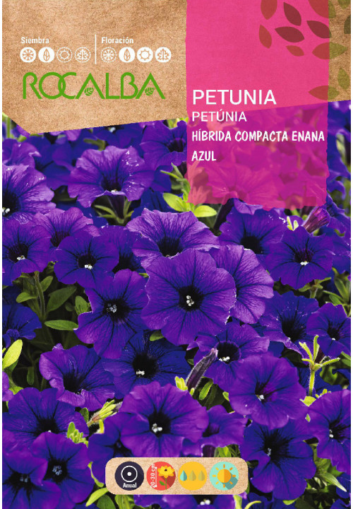 PETUNIA HÍBRIDA COMPACTA ENANA AZUL