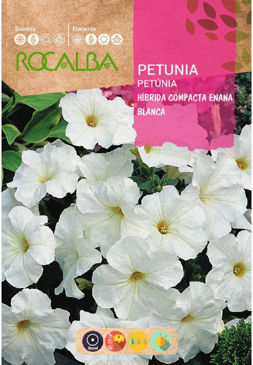 PETUNIA HÍBRIDA COMPACTA ENANA BLANCA PETUNIA HÍBRIDA COMPACTA ENANA BLANCA