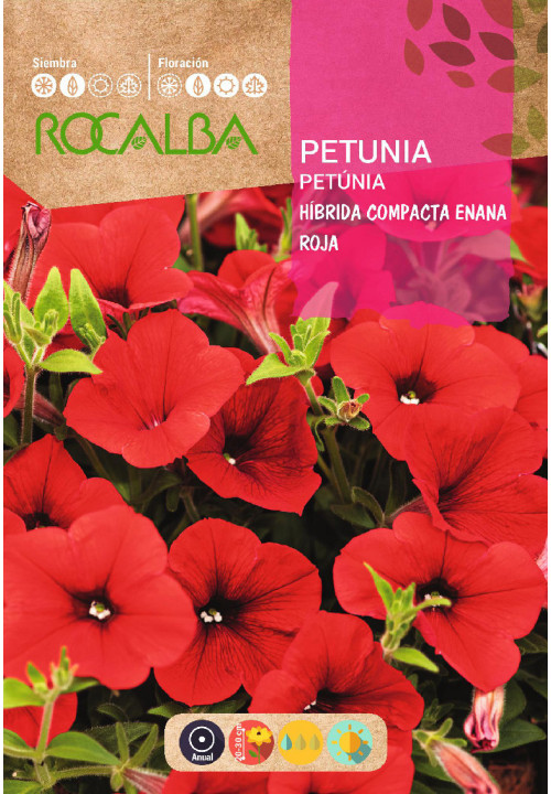 PETUNIA HÍBRIDA COMPACTA ENANA ROJA PETUNIA HÍBRIDA COMPACTA ENANA ROJA