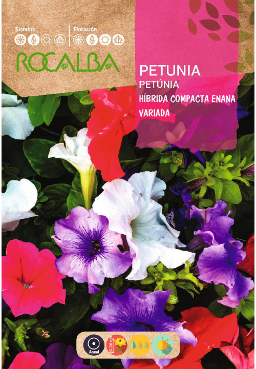 PÉTUNIA HYBRIDE COMPACTE NAINE VARIÉE