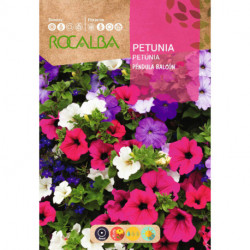 PETUNIA PÉNDULA BALCÓN