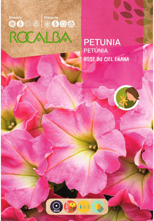 PÉTUNIA NAIN ROSE DU CIEL