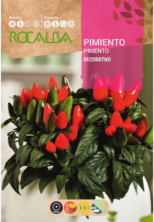 PIMIENTO DECORATIVO