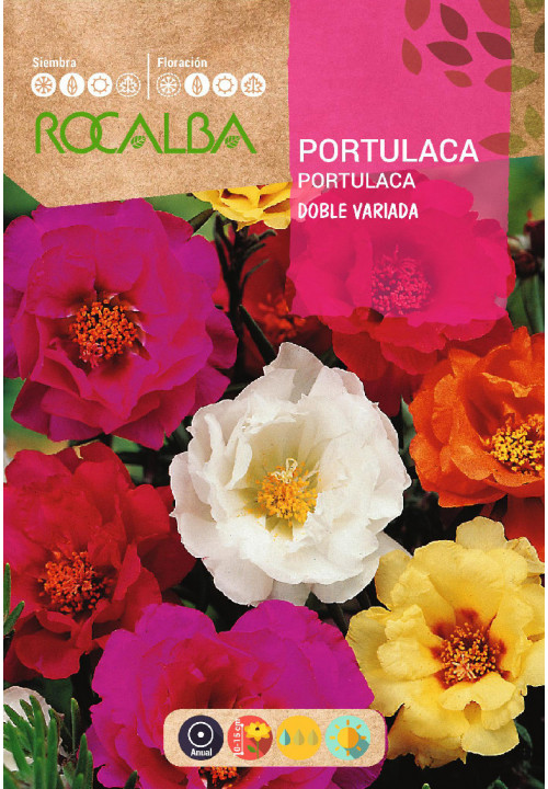 PORTULACA DOBLE VARIADA