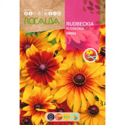 RUDBECKIA HYBRIDE VARIÉE