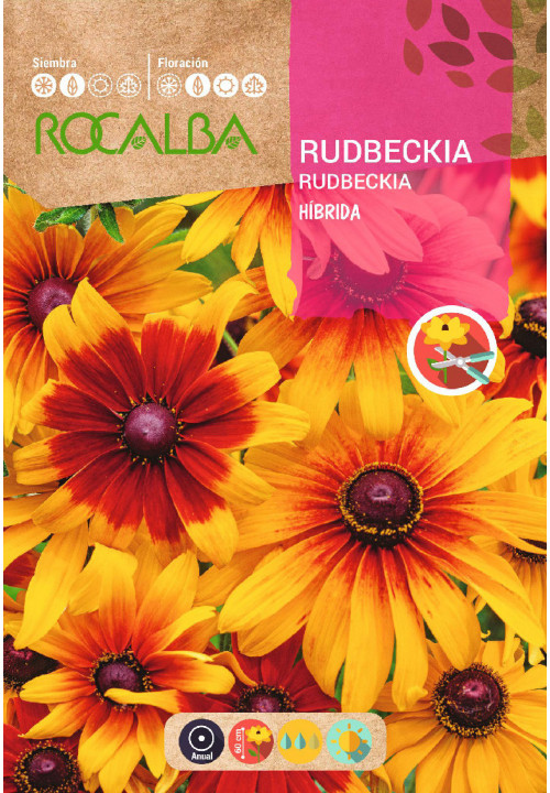 HYBRID RUDBECKIA MIXED