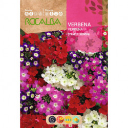 VERBENA SPARKLE HÍBRIDA VARIADA