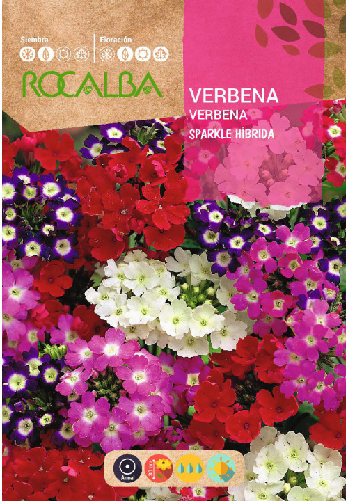 VERBENA SPARKLE HÍBRIDA VARIADA