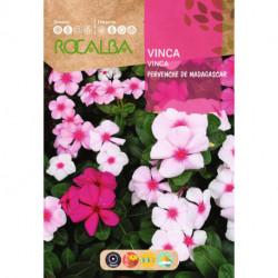 VINCA PERVENCHE DE MAGASCAR VARIADA